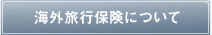 海外旅行保険について