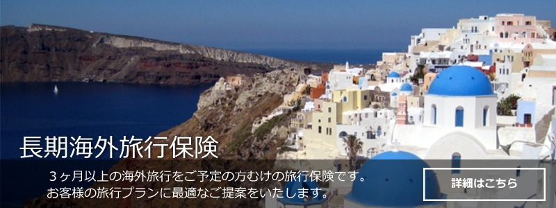 インバウンド保険