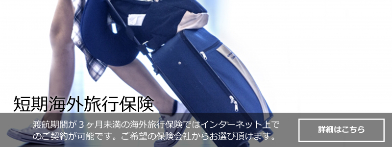 インバウンド保険